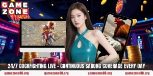 24/7 Cockfighting Live – Continuous Sabong Coverage Every Day