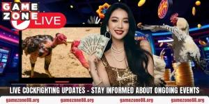 Live Cockfighting Updates – Stay Informed About Ongoing Events